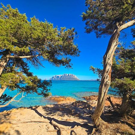 Villa Villino Caddu San Teodoro  Esterno foto